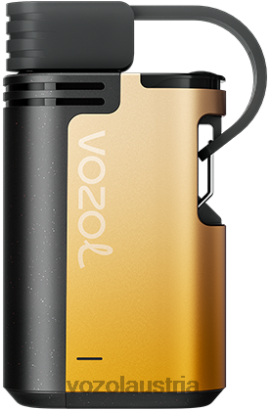 Vozol Kaufen - VOZOL GEAR 4000c/6000 Mango-Passionsfrucht D00PHT327