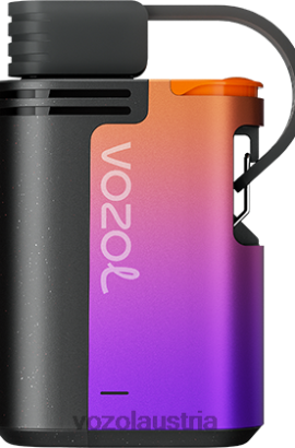 Vozol Vape Österreich - VOZOL GEAR 4000c/6000 Waldbeerensturm D00PHT324