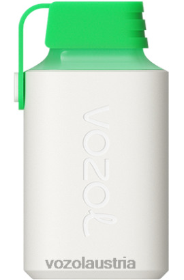 Vozol Vape Kaufen - VOZOL GEAR 600 Wassermeloneneis D00PHT359