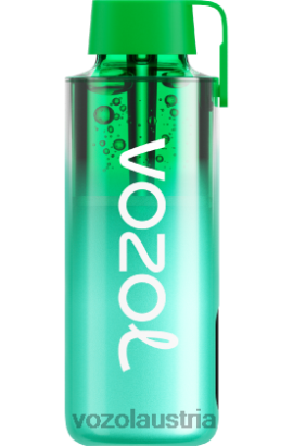 Vozol Vape Kaufen - VOZOL NEON 10000 Miami-Minze D00PHT229