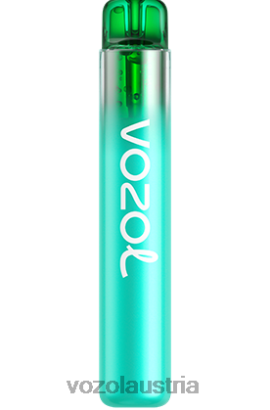 Vozol Geschmacksrichtungen - VOZOL NEON 800 Heidelbeere, saure Himbeere D00PHT246