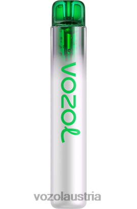 Vozol Vape Geschmack - VOZOL NEON 800 Traubeneis D00PHT248