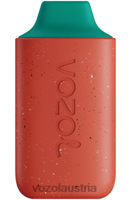 Vozol E Zigarette - VOZOL STAR 6000 Drachenfrucht-Wassermelone D00PHT111