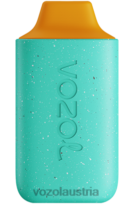 Vozol Vape Österreich - VOZOL STAR 6000 Honigpunsch D00PHT114