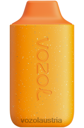 Vozol Vape Österreich - VOZOL STAR 6000 Kürbislatte D00PHT124