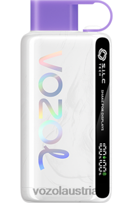 Vozol Vape Österreich - VOZOL STAR 9000/12000 Traubeneis D00PHT24