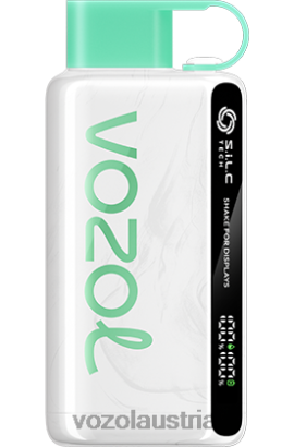 Vozol Vape Österreich - VOZOL STAR 9000/12000 Wassermelonen-Kaugummi D00PHT34