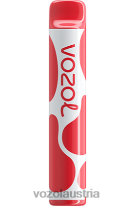 Vozol Austria - VOZOL JOYGO 600 Litschi Guave Wassermelone D00PHT385