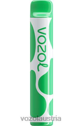 Vozol Austria - VOZOL JOYGO 600 Wassermeloneneis D00PHT395