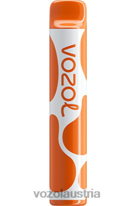 Vozol Geschmacksrichtungen - VOZOL JOYGO 600 Mango-Eis D00PHT386