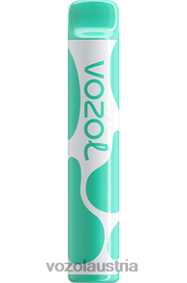 Vozol Kaufen - VOZOL JOYGO 600 Menthol D00PHT387