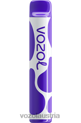 Vozol Vape Geschmack - VOZOL JOYGO 600 gemischte Beeren D00PHT388