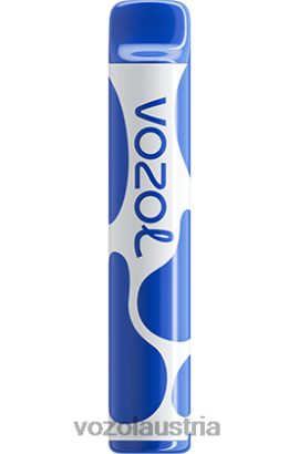 Vozol Vape Preis - VOZOL JOYGO 600 Blaubeersturm D00PHT390