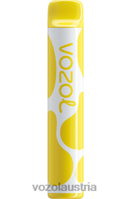 Vozol Wien - VOZOL JOYGO 600 Vanille-Creme-Tabak D00PHT393