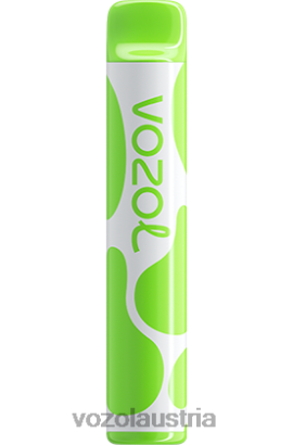 Vozol Österreich - VOZOL JOYGO 600 Kiwi, Passionsfrucht, Guave D00PHT382