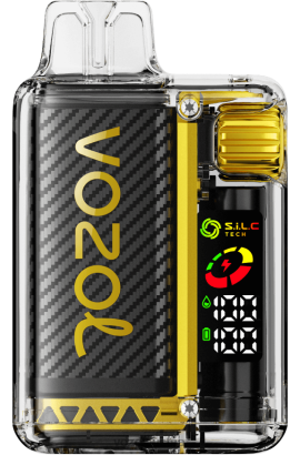 Vozol Vape Geschmack - VOZOL VISTA 16000/20000 Mango-Eis D00PHT8