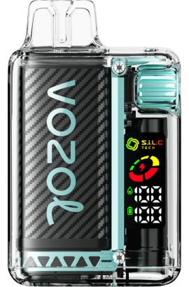 Vozol Vape Kaufen - VOZOL VISTA 16000/20000 Miami-Minze D00PHT9