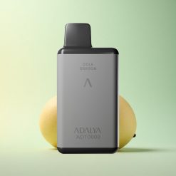 Adalya AD 10000 Adalya Minze Punkt Grauer Raum mit 2% Nikotin und 650 mAh
