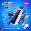 VOZOL Austria - VOZOL STAR 20000 Blaubeersturm D80B45