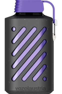 Vozol E Zigarette - VOZOL GEAR 10000 Waldbeerensturm D00PHT291