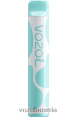 Vozol E Zigarette - VOZOL JOYGO 600 Regenbogenbonbons D00PHT391