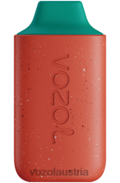 Vozol E Zigarette - VOZOL STAR 6000 Drachenfrucht-Wassermelone D00PHT111