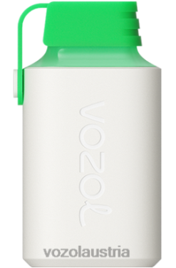 Vozol Vape Kaufen - VOZOL GEAR 600 Wassermeloneneis D00PHT359