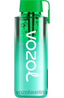 Vozol Vape Kaufen - VOZOL NEON 10000 Miami-Minze D00PHT229