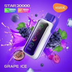 VOZOL Vape Kaufen - VOZOL STAR 20000 Traubeneis D80B49