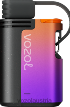 Vozol Vape Österreich - VOZOL GEAR 4000c/6000 Waldbeerensturm D00PHT324