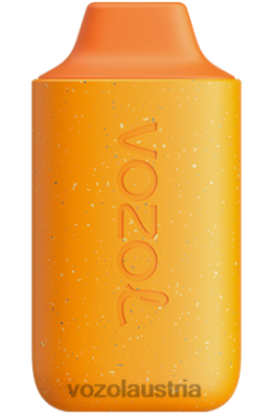 Vozol Vape Österreich - VOZOL STAR 6000 Kürbislatte D00PHT124