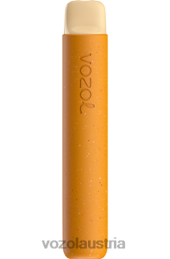 Vozol Vape Österreich - VOZOL STAR 600 Erdbeere Banane D00PHT94