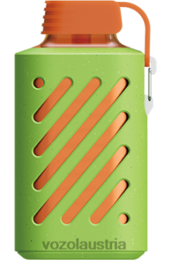 Vozol Vape Preis - VOZOL GEAR 10000 Erdbeer-Kiwi D00PHT310