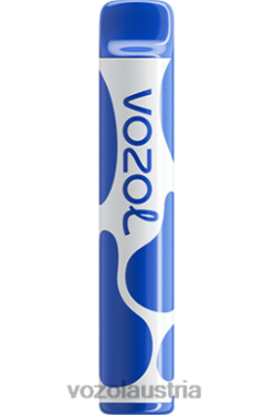 Vozol Vape Preis - VOZOL JOYGO 600 Blaubeersturm D00PHT390