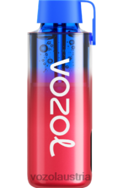 Vozol Wien - VOZOL NEON 10000 Blaubeereis D00PHT243